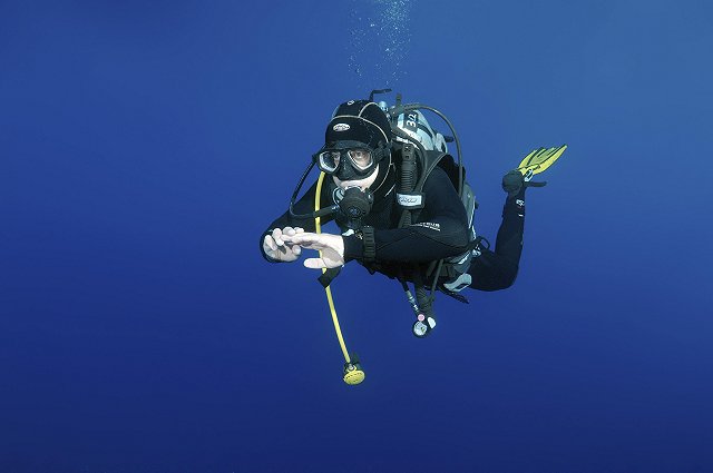 В сургутском бассейне утонул водолаз
