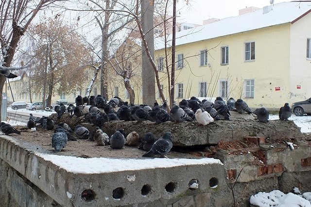 Путин велел кабмину уточнить расчет налога на недвижимость. «Люди много платят»