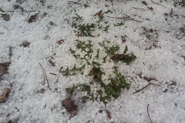 Ливни, град и ветер: в Свердловской области синоптики прогнозируют непогоду