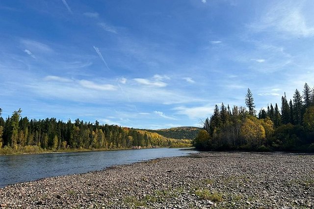 Красноярский охотник застрелил отдыхающего, приняв за дикое животное в тепловизоре