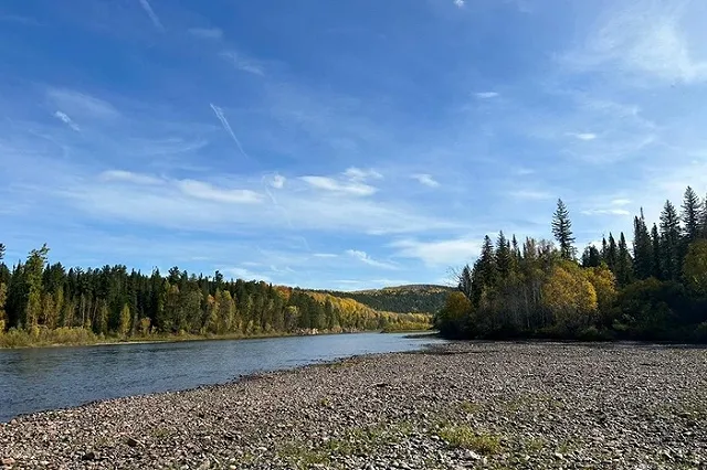 Красноярский охотник застрелил отдыхающего, приняв за дикое животное в тепловизоре