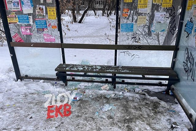 Екатеринбуржцы открыли стрельбу посреди улицы