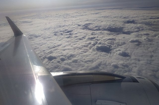 Казахстанская авиакомпания Qazaq Air приостановила рейсы из Астаны в Екатеринбург