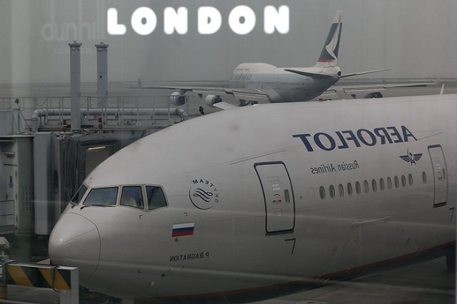 Глава «Аэрофлота» посоветовал чиновникам летать эконом-классом