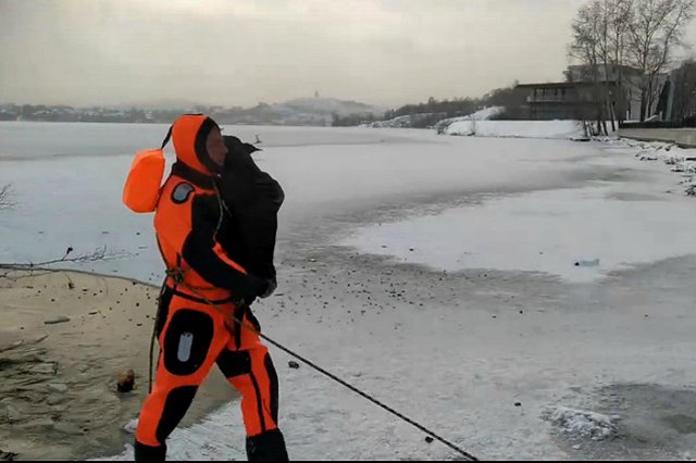 В Нижнем Тагиле спасли провалившуюся под лед одинокую собаку, у которой умер хозяин