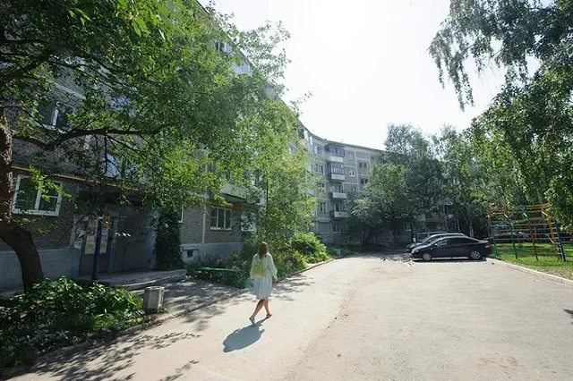 Ученые УГЛТУ прокомментировали жалобы екатеринбуржцев на вырубку деревьев