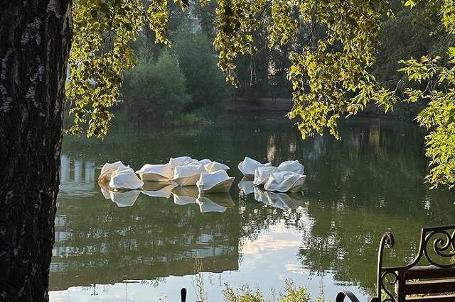 Гигантские пельмени замечены в пруду Екатеринбурга