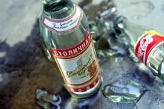 На Среднем Урале хотят организовать безалкогольные деревни