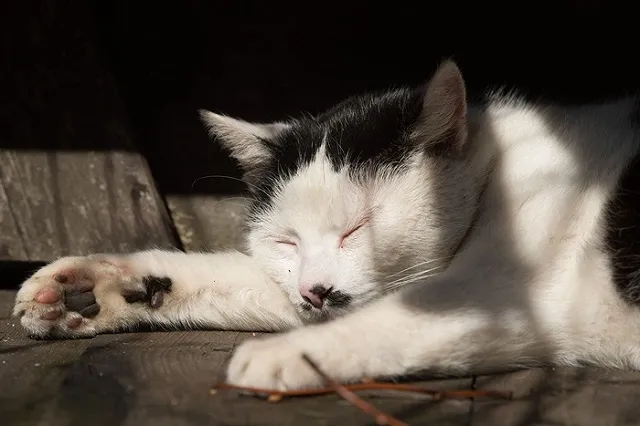 Обнародован график подключения тепла в Екатеринбурге