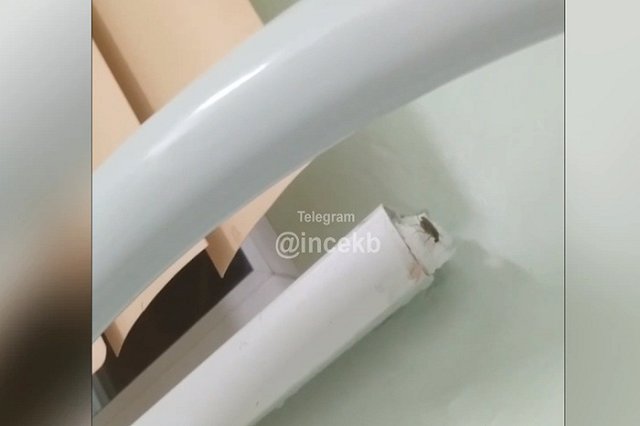 Екатеринбуржцы пожаловались на тараканов в детской больнице
