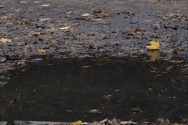 Названа страна ЕС, жители которой испытывают наибольшие трудности с оплатой счетов за отопление