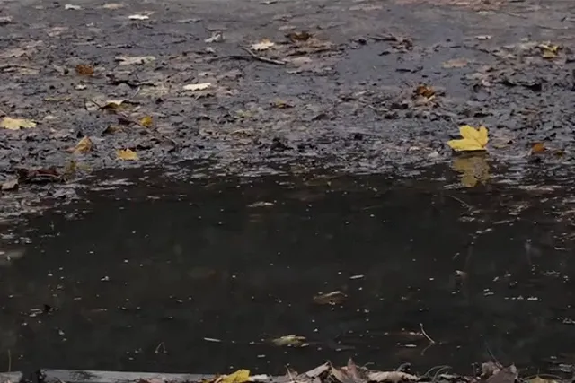 Названа страна ЕС, жители которой испытывают наибольшие трудности с оплатой счетов за отопление