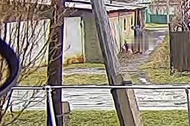 В Новосибирской области подросток попытался изнасиловать 8-летнюю девочку, но получил ножом в пах