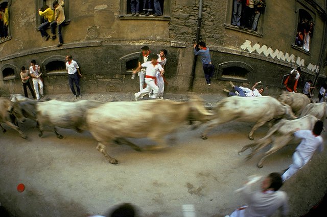 В Испании бык насмерть забодал мужчину во время забега