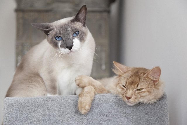 Почти 60% екатеринбуржцев признались, что им трудно работать зимой