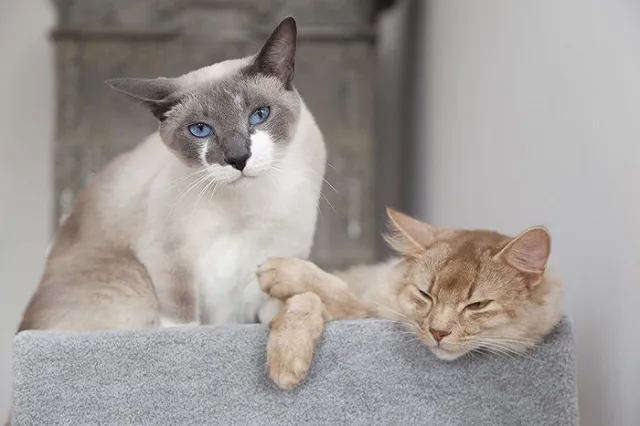 Почти 60% екатеринбуржцев признались, что им трудно работать зимой