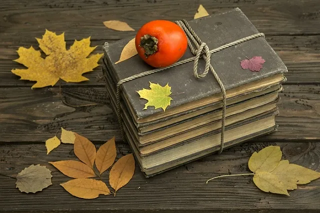 Выпускников призывают не выбрасывать учебники и тетради, а сдать в макулатуру