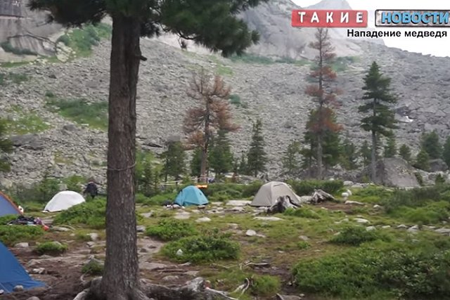 В Красноярском крае нашли тело туриста, погибшего от нападения медведя