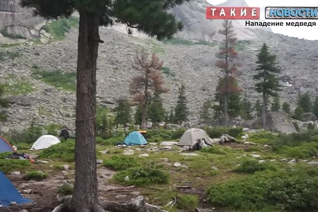 В Красноярском крае нашли тело туриста, погибшего от нападения медведя