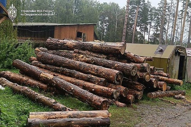 На «Бажовских местах» вырубили лес почти на полмиллиарда рублей