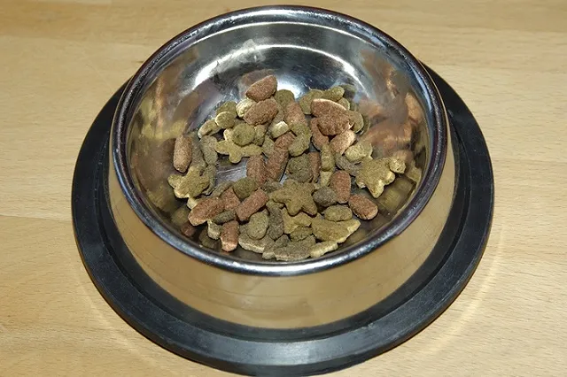 Тараканы и черви из коробки с испорченным кормом «заселили» квартиру челябинцев