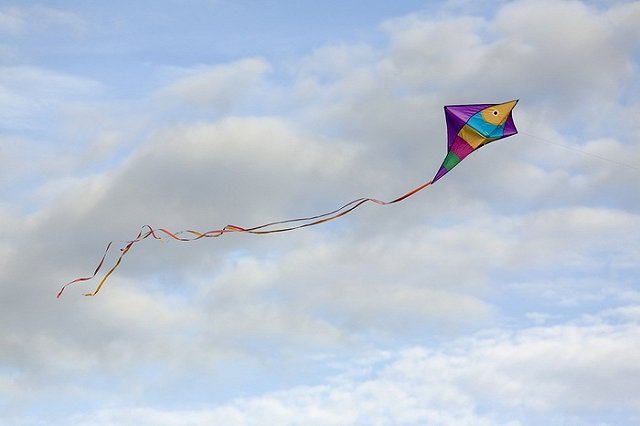 Екатеринбуржцы сойдутся в чемпионате по запуску воздушных змеев