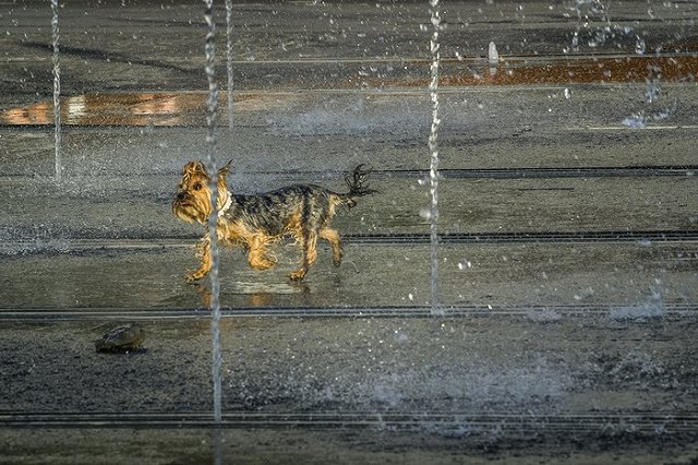 Синоптики обещают Уралу новое аномально жаркое лето