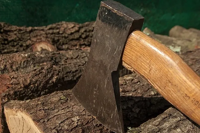 На Урале толпа мужчин набросилась с топорами на гуляющих в парке