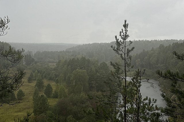 Пропавшую в Свердловской области женщину нашли мёртвой