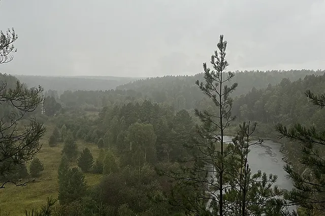 Пропавшую в Свердловской области женщину нашли мёртвой