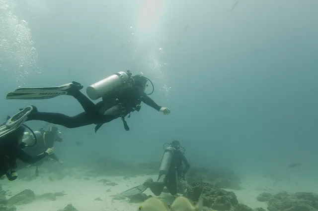 За гибель женщины на пляже осужден президент ассоциации дайвинга Ямала