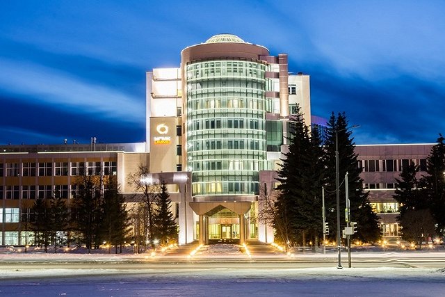 Строительство ледовых арен под патронажем УГМК в городах области замедлится