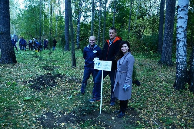 Участники Майской прогулки посадят хвойный лес