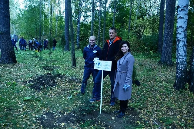 Участники Майской прогулки посадят хвойный лес