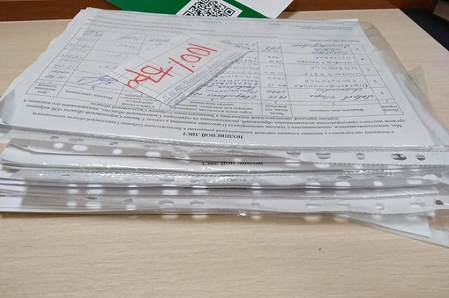 Сборщики подписей за возвращение прямых выборов мэра собрали требуемое их количество