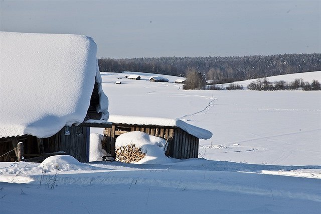 Жительница Челябинской области подозревается в убийстве маленькой дочери