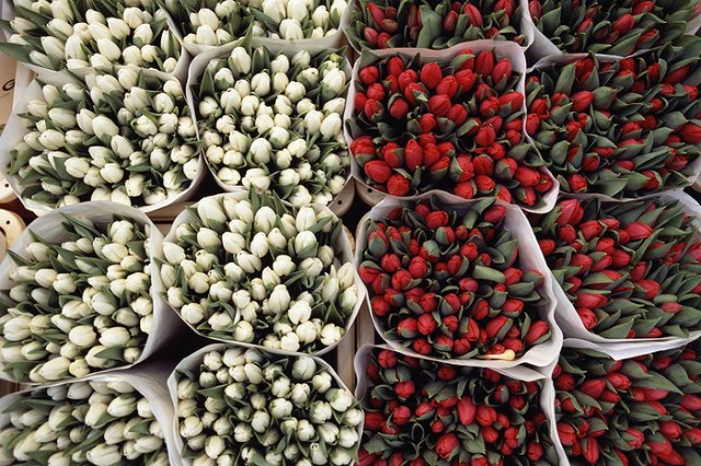 На Кольцовскую таможню поступило на 114 тонн цветов больше, чем год назад