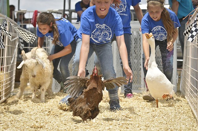 Контактные зоопарки закроют, а дома запретят держать диких животных