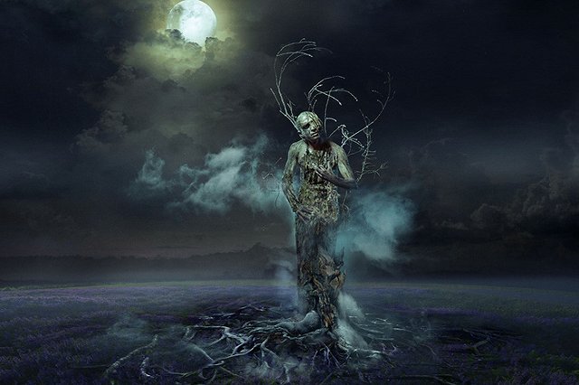 Выставка фотографа Александра Осипова «Фигура умолчания» открывается в музее ИЗО