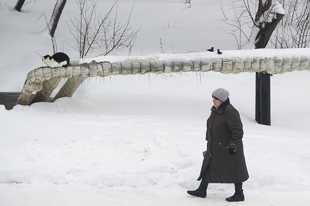 В Белоярке 50 детей живут в аварийном бараке без отопления