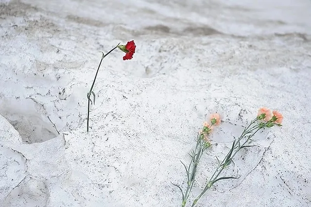 Тяжело раненного на СВО свердловского бойца дважды бросила мать