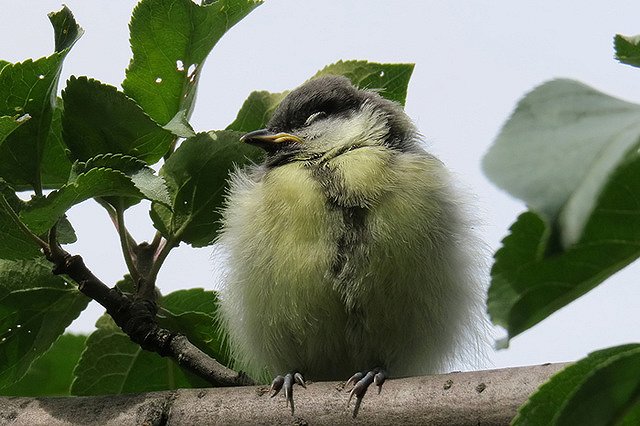 В Екатеринбурге появятся пять новых зеленых зон