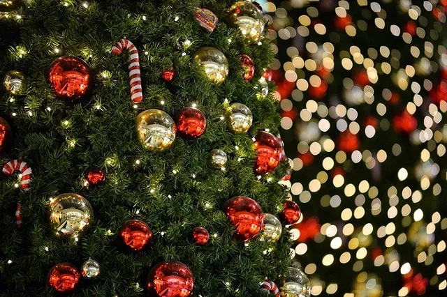 В Екатеринбурге устроят большую «европейскую» рождественскую ярмарку