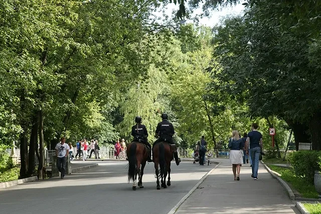 Подведение итогов работы сысертской полиции превратилось в разнос