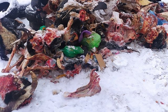 Жители Сортировки увидели страшную картину во дворе