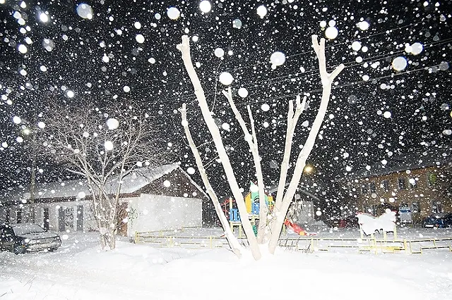 Женщина и ребенок погибли под Оренбургом, предположительно, при катании на санках