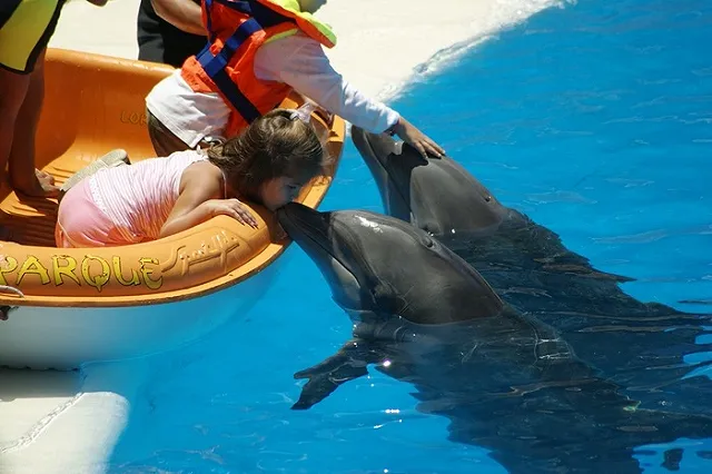 В Екатеринбурге появится свой дельфинарий