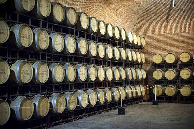 Ткачев предрек РФ вывод собственного вина на мировой рынок