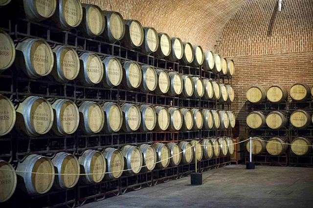 Ткачев предрек РФ вывод собственного вина на мировой рынок