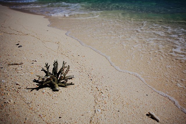 Турист из Магадана и тайка погибли после ДТП со скутером на Пхукете